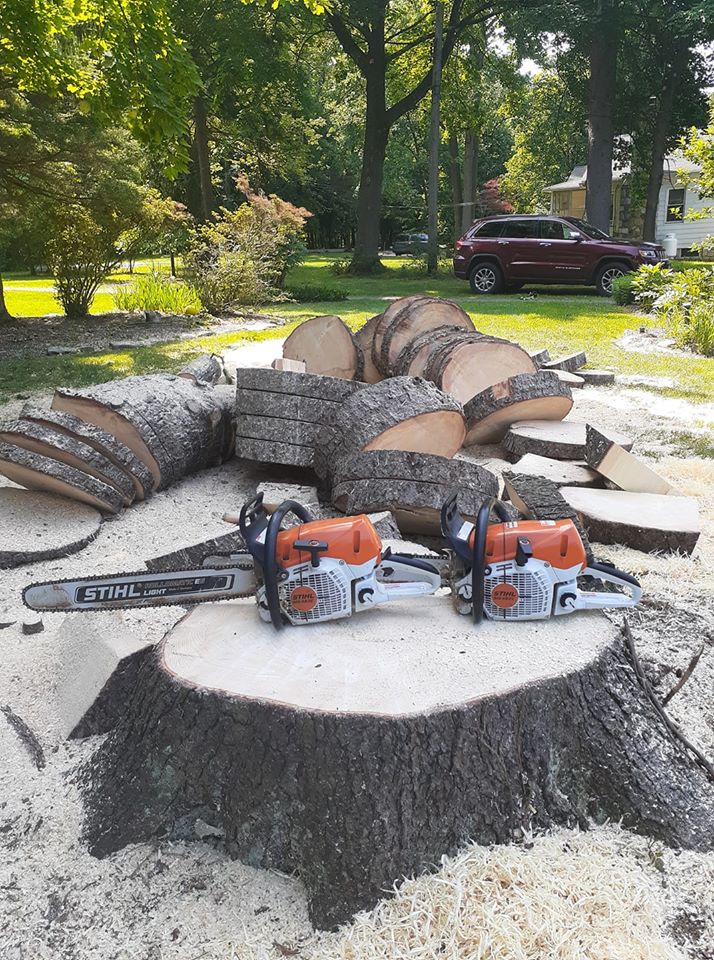 Emergency tree removal service
