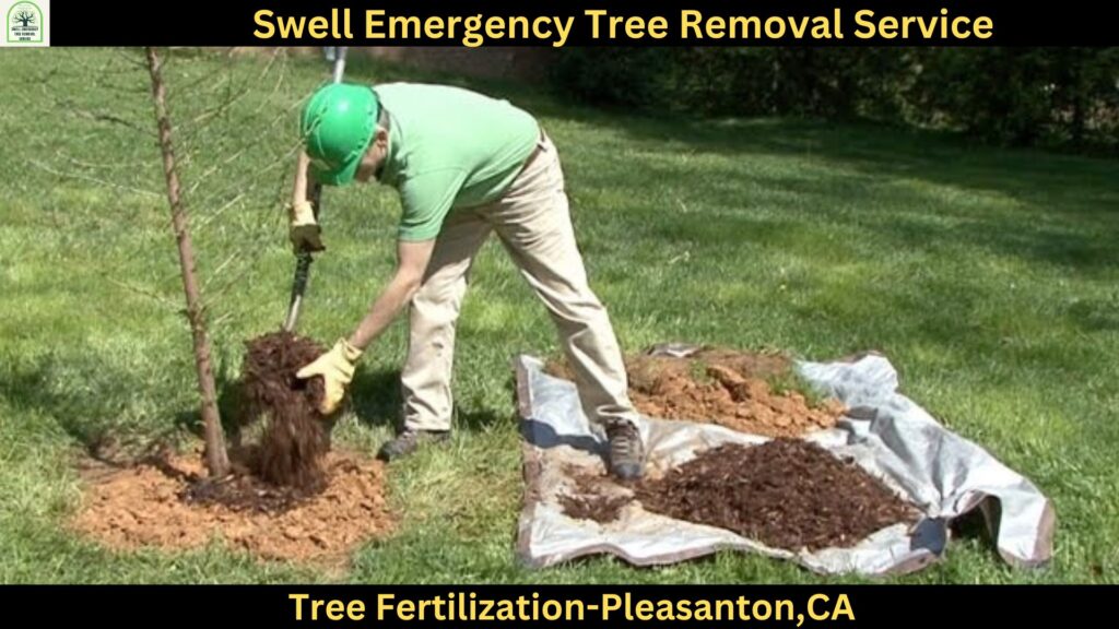 Tree Fertilization in pleasanton,CA