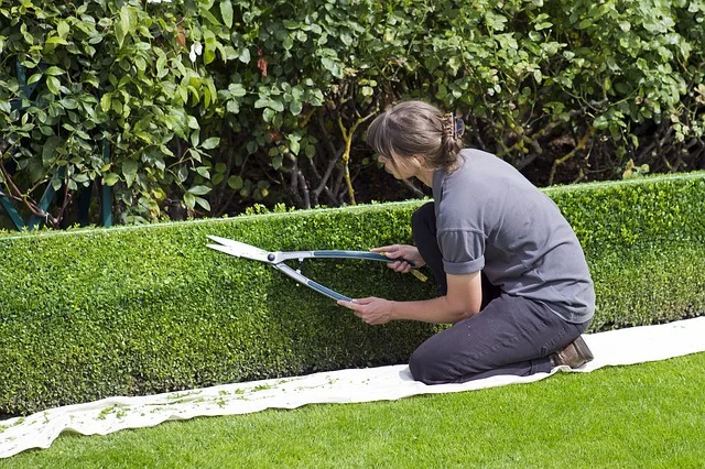 Topiary