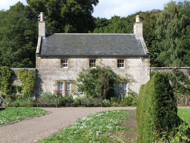 Evergreen hedges