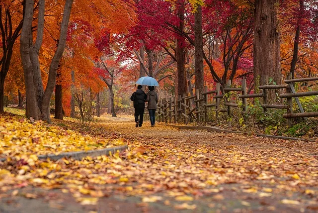 Read more about the article The Maples 
